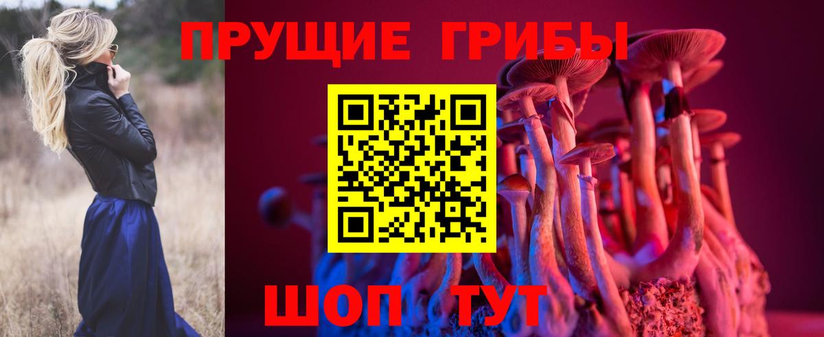 Галлюциногенные грибы MAGIC MUSHROOMS  Вход с VPN  сколько стоит  Псилоцибиновые грибы MAGIC MUSHROOMS  Подольск 